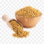 FENUGREEK SEED