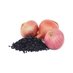 ONION SEED