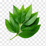 CURRY LEAVES